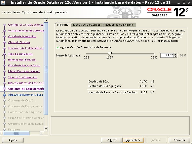 instalación Oracle Database 12c - Centos - 12_1 - Opciones configuracion Memoria