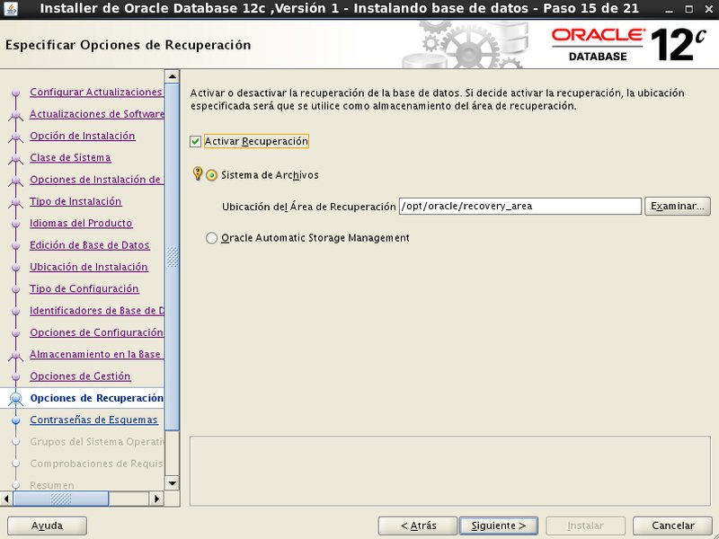 instalación Oracle Database 12c - Centos - 15 - Opciones de recuperacion