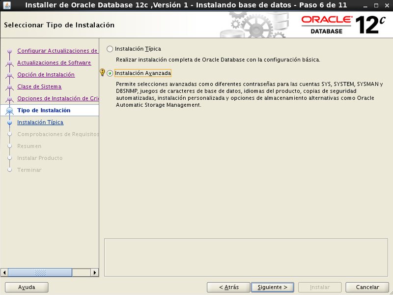 instalación Oracle Database 12c - Centos - 6 - tipo de instalación